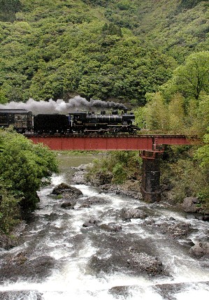f0061705_22165758.jpg