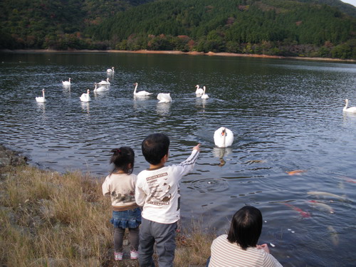 b0052108_84430100.jpg