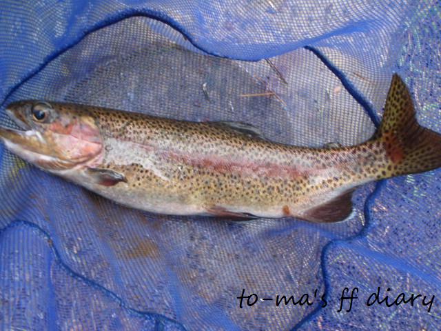 f0137709_2313524.jpg