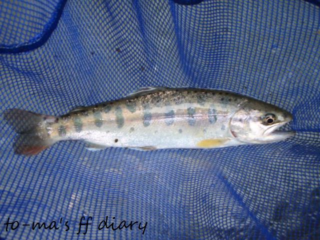 f0137709_234820100.jpg