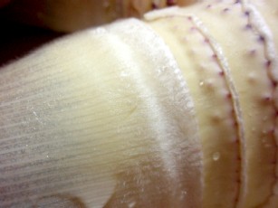f0043911_2101697.jpg