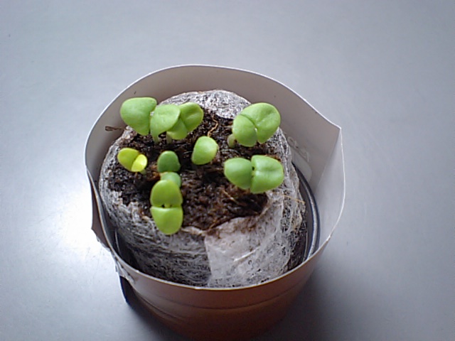 d0048215_1122175.jpg