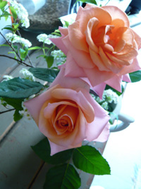 c0144016_19153946.jpg