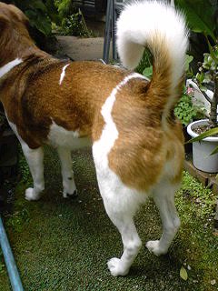 c0084117_22334521.jpg