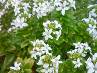 e0027219_10552460.jpg