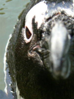 e0148120_2050235.jpg