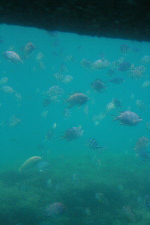 f0097620_0181014.jpg