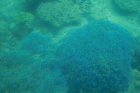 f0097620_0224188.jpg
