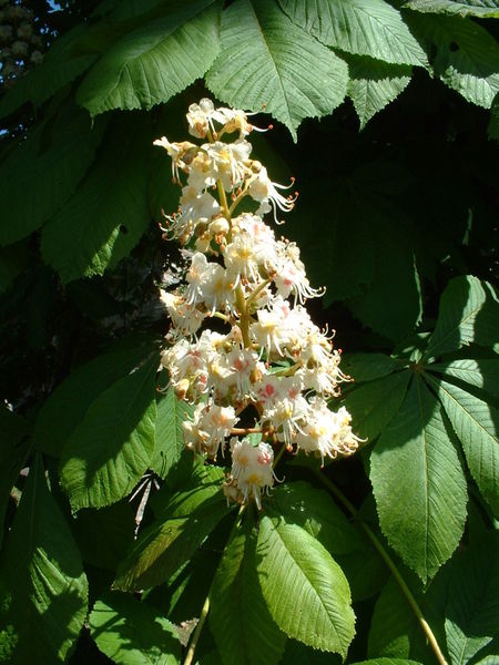 b0169024_44414100.jpg
