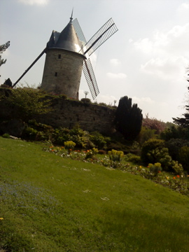 b0169024_637262.jpg