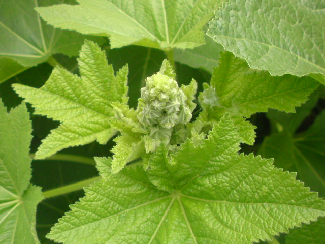 e0016828_12472166.jpg