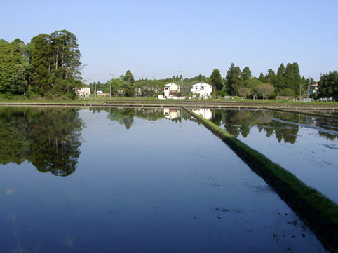 b0143231_23233850.jpg