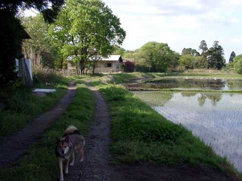 b0143231_23284510.jpg