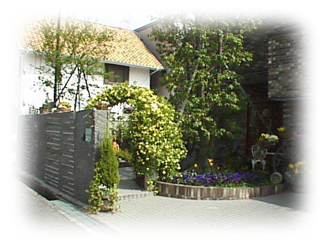 e0134032_2323673.jpg