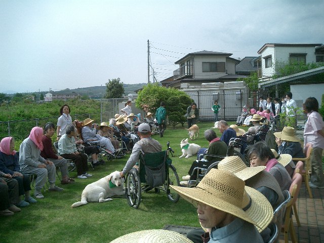 c0114833_13412097.jpg