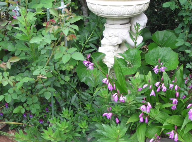c0109235_2151151.jpg