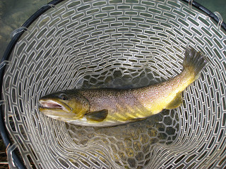 f0065341_004326.jpg
