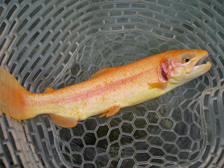 f0065341_0141339.jpg