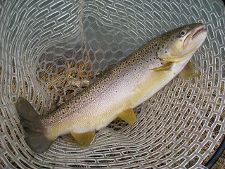 f0065341_0144552.jpg