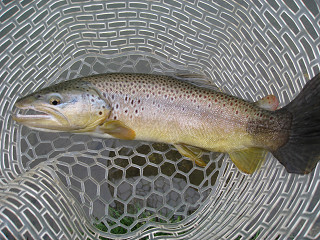 f0065341_021202.jpg