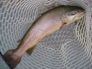 f0065341_0214035.jpg
