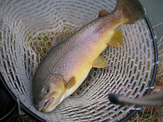 f0065341_022512.jpg