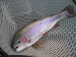 f0065341_022679.jpg