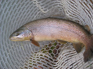 f0065341_023830.jpg