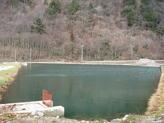 f0065341_055280.jpg