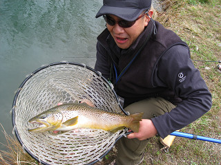 f0065341_07664.jpg