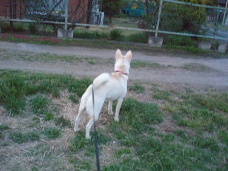 f0195543_095533.jpg