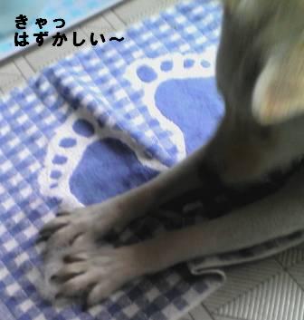 f0195543_14263830.jpg