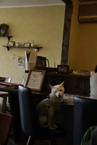 a0042044_0425779.jpg