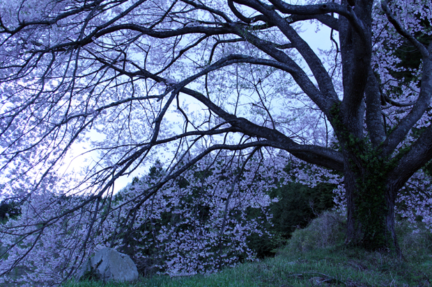 e0046147_2361630.jpg