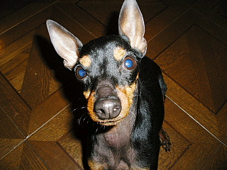 c0123149_232527100.jpg