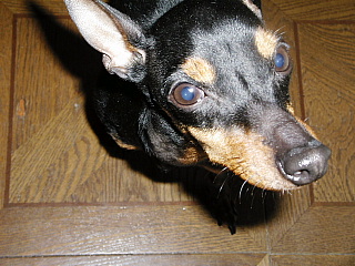 c0123149_23253960.jpg