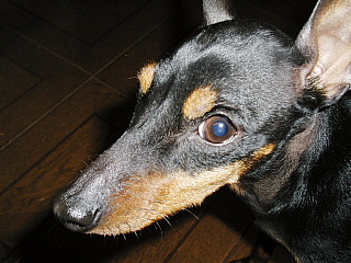 c0123149_23255048.jpg