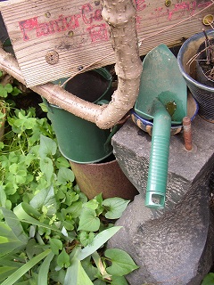 a0068350_111338.jpg