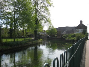 e0018350_8305849.jpg