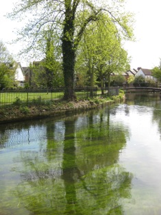 e0018350_8313035.jpg