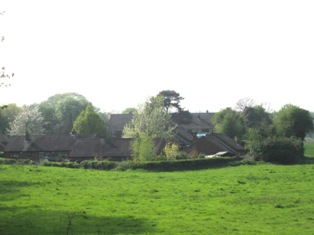 e0018350_857347.jpg