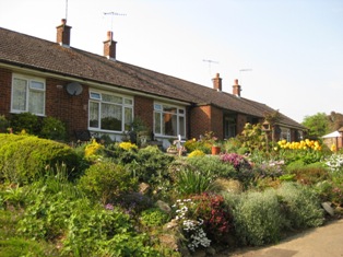 e0018350_90249.jpg