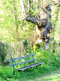 e0018350_98977.jpg