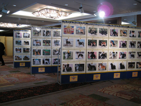 b0050356_22183537.jpg