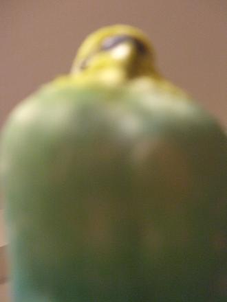 f0149057_0323432.jpg