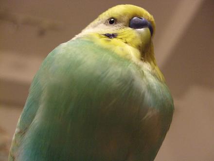 f0149057_03428100.jpg