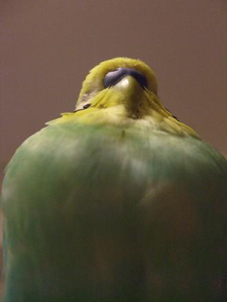 f0149057_034474.jpg
