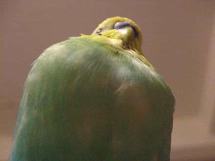 f0149057_0413663.jpg