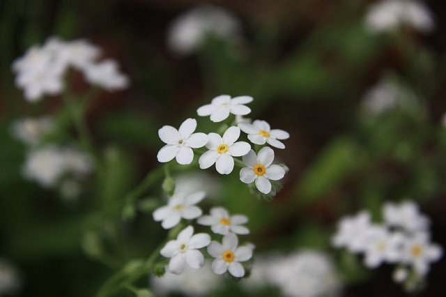 f0171559_23371111.jpg