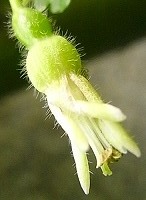 b0169765_995052.jpg